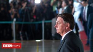 Leia mais sobre o artigo BOLSONARO PODE SER GOLPISTA