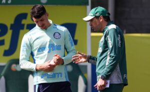 Leia mais sobre o artigo PALMEIRAS VAI VENCER?